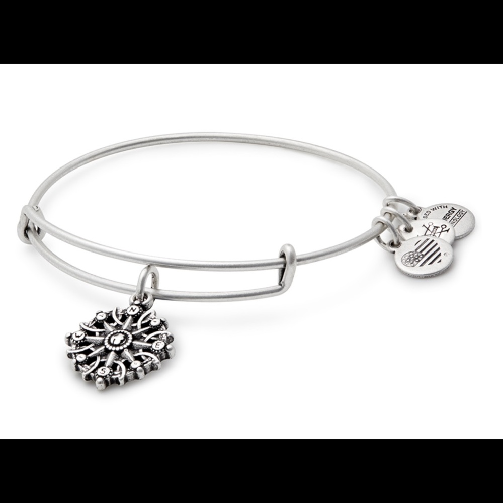 Alex and Ani Compass bracelet